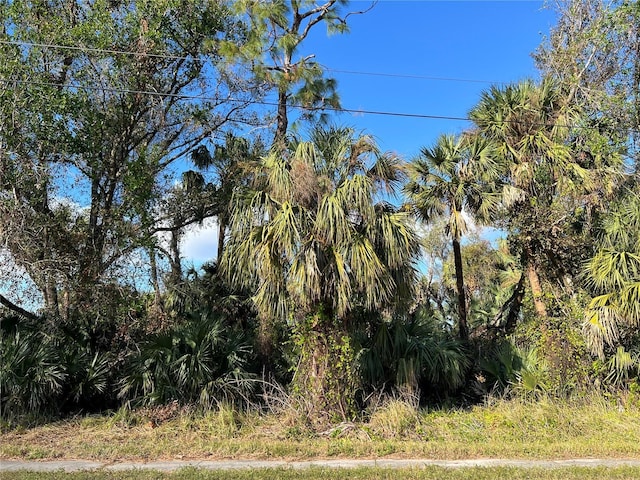 Adderton Ave, North Port FL, 34288 land for sale