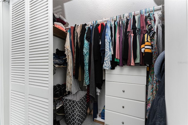 spacious closet featuring carpet