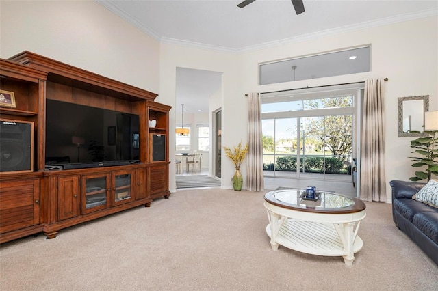 carpeted living room featuring ceiling fan and ornamental molding