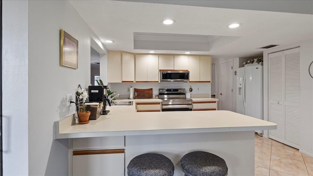 kitchen featuring sink, stainless steel appliances, kitchen peninsula, crown molding, and a tray ceiling