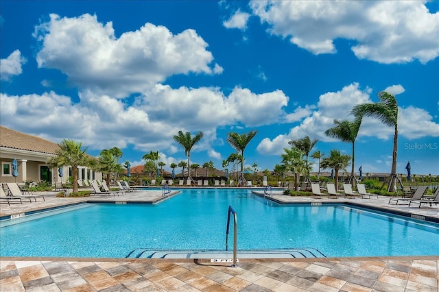 view of pool featuring a patio area