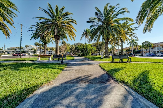 view of community with a yard