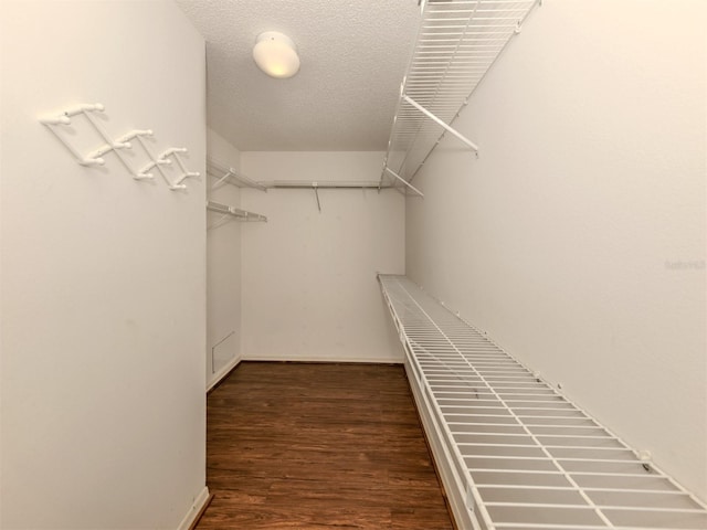 walk in closet featuring dark hardwood / wood-style floors