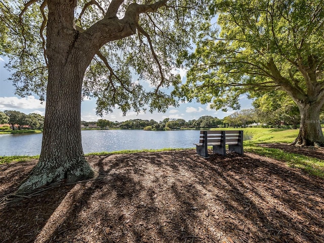 view of water feature