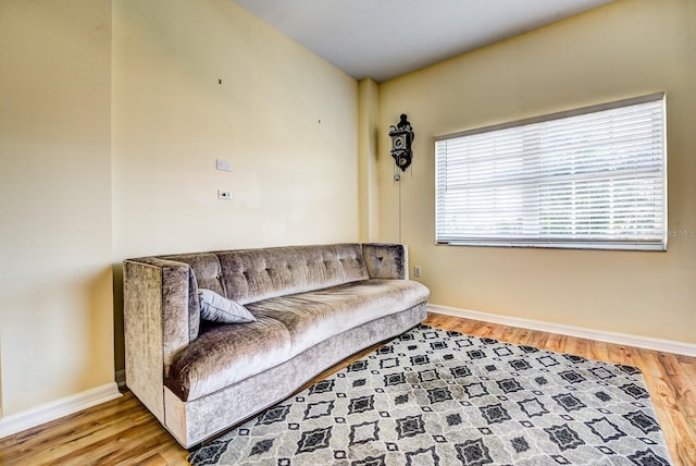 living room featuring wood-type flooring