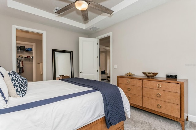 carpeted bedroom featuring ceiling fan, a walk in closet, a closet, and a raised ceiling