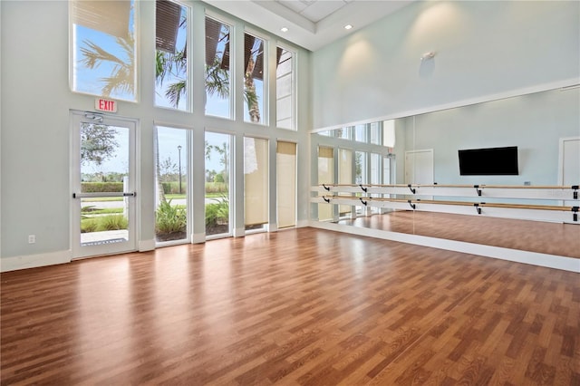 exercise room with a healthy amount of sunlight and a high ceiling