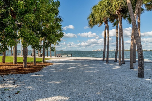 view of community featuring a water view