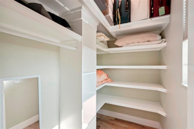 spacious closet with wood finished floors