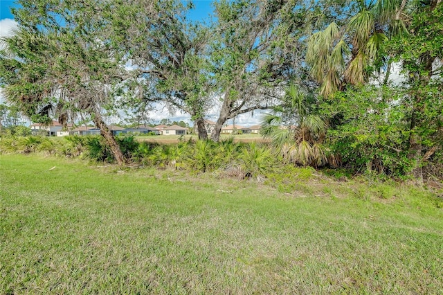 12313 Amica Loop, Venice, FL 34293 - photo 53