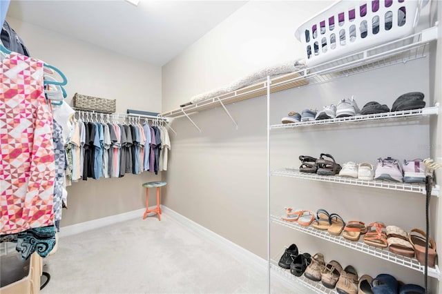 spacious closet featuring carpet floors