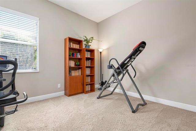 exercise area featuring carpet flooring