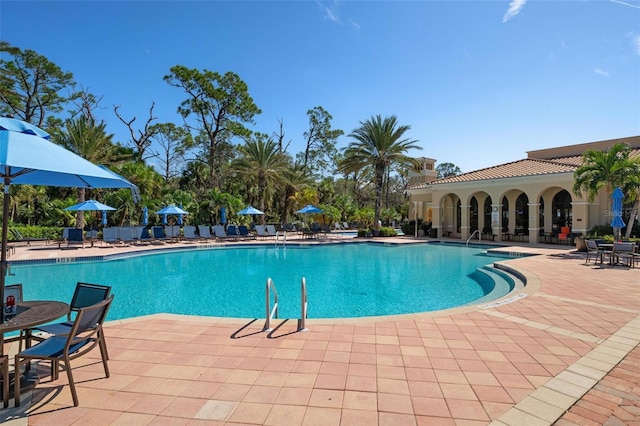 view of swimming pool featuring a patio area