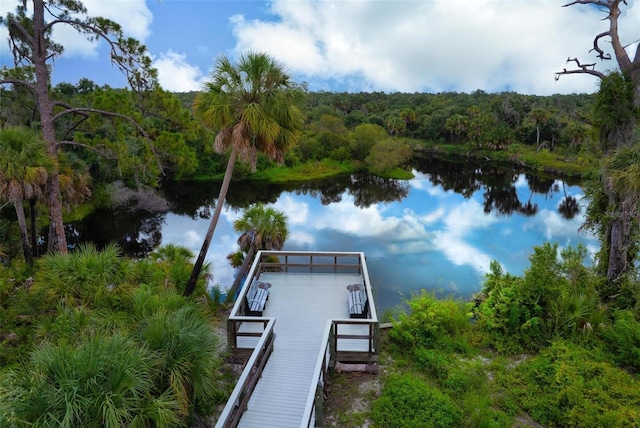 dock area featuring a water view