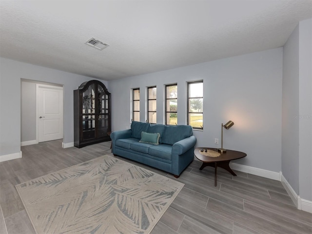 living room featuring hardwood / wood-style flooring and a textured ceiling