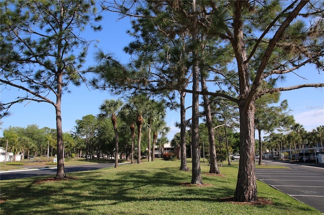 view of property's community with a yard