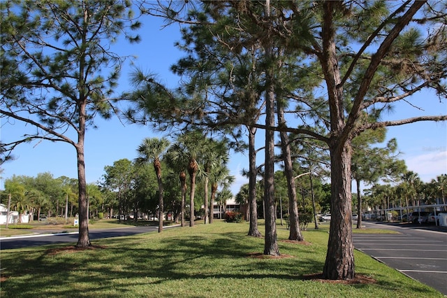 324 Wexford Ter Unit 171, Venice, FL 34293 - photo 65
