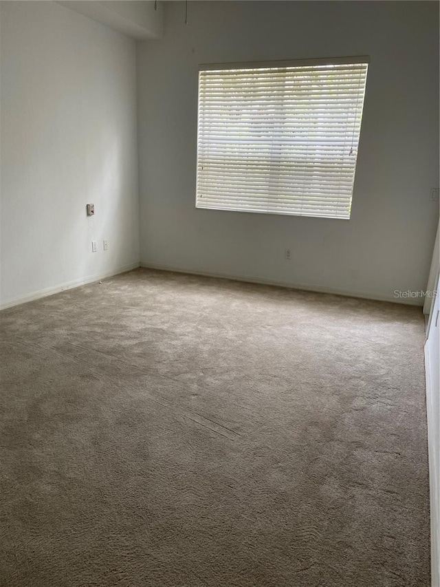 empty room featuring plenty of natural light and carpet