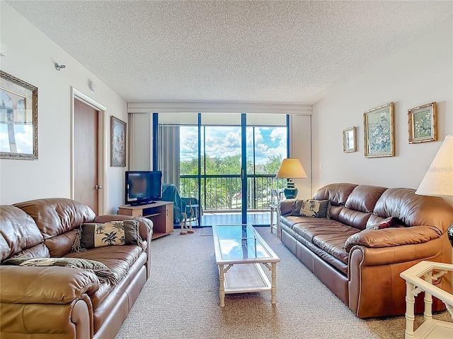 living room with carpet, a textured ceiling, and floor to ceiling windows