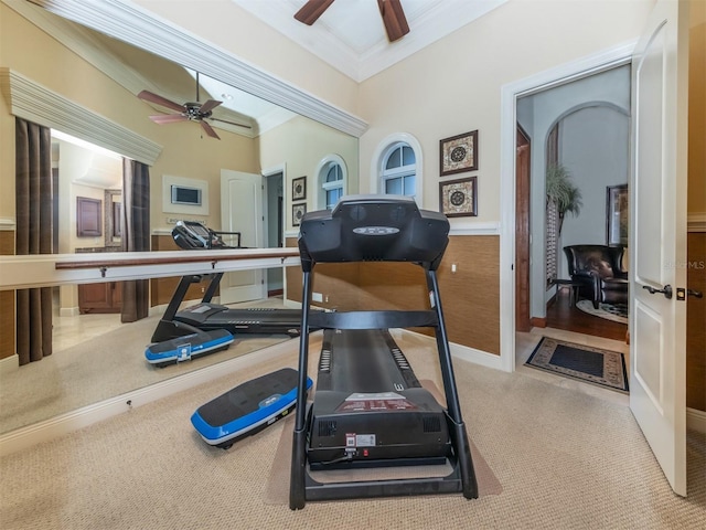 exercise area featuring light carpet, ceiling fan, and ornamental molding