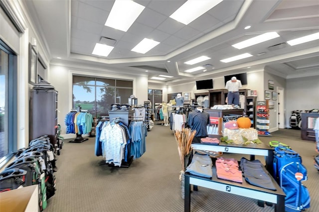 interior space featuring carpet floors, a drop ceiling, and ornamental molding