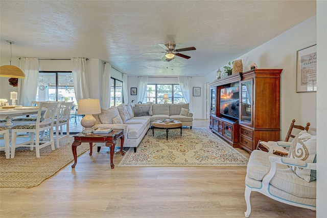 living room featuring ceiling fan, light wood-type flooring, and a textured ceiling