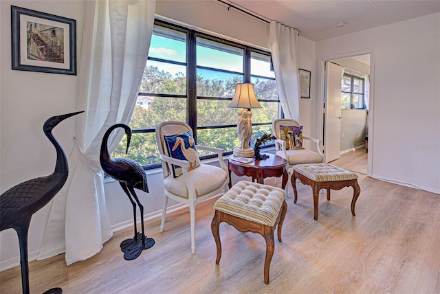 sitting room with light hardwood / wood-style flooring