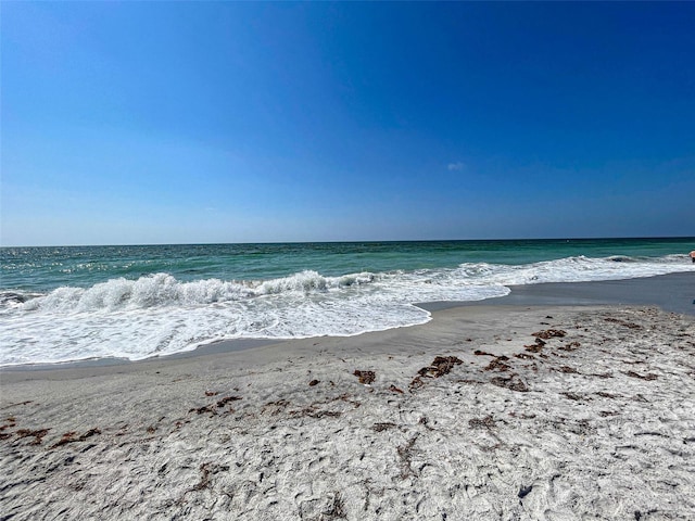 water view featuring a beach view