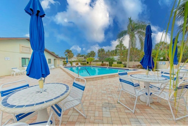 view of pool featuring a patio