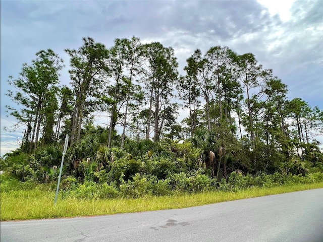 Listing photo 2 for Sheboygan Ave, North Port FL 34286