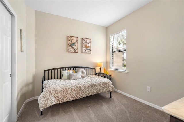 12837 Oriago St, Venice, FL 34293 - photo 20