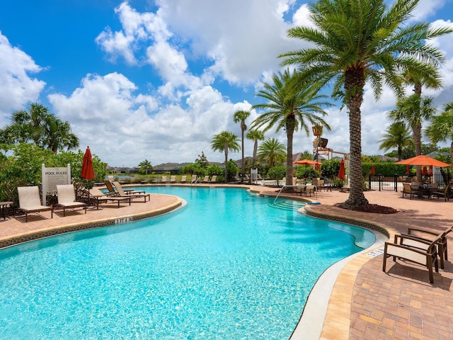 view of swimming pool featuring a patio