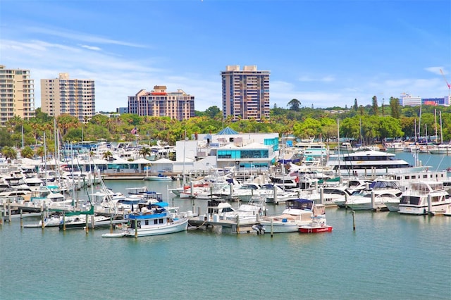 property view of water with a dock