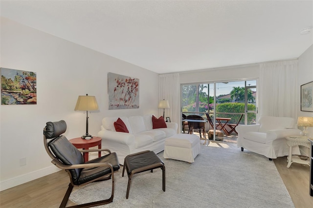 living room featuring light hardwood / wood-style floors