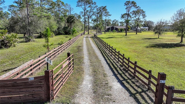 view of road featuring a rural view, driveway, and a gated entry