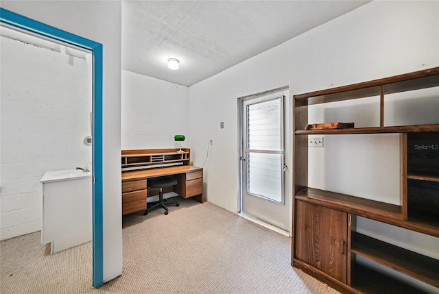 carpeted office with a wealth of natural light