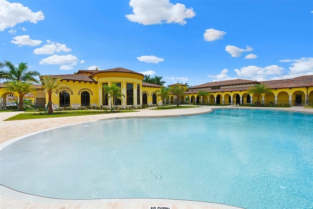 view of swimming pool