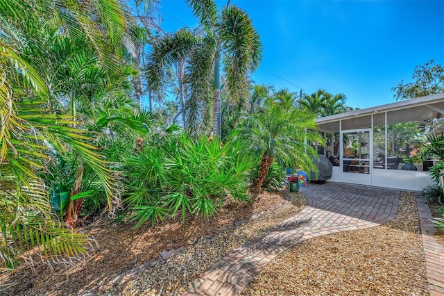 view of yard with a sunroom