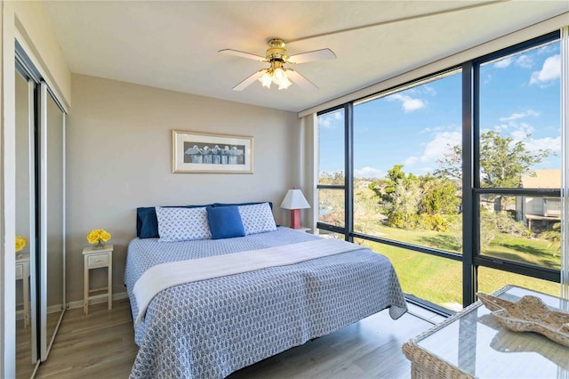 bedroom featuring ceiling fan, a wall of windows, dark wood-type flooring, and a closet