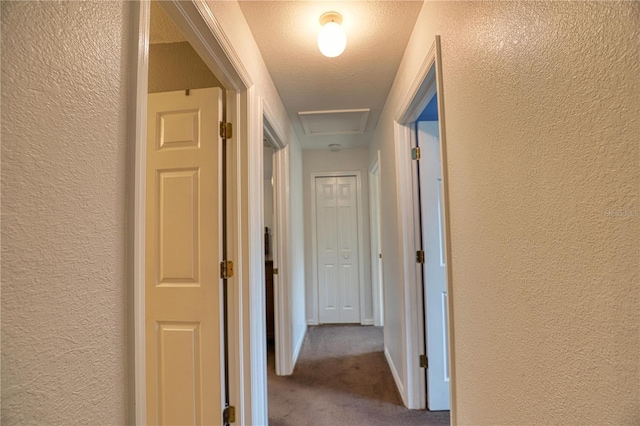 hallway with carpet flooring and a textured ceiling