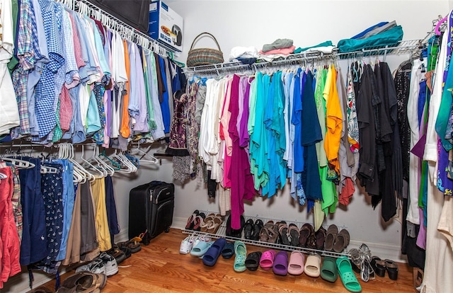 spacious closet with hardwood / wood-style floors