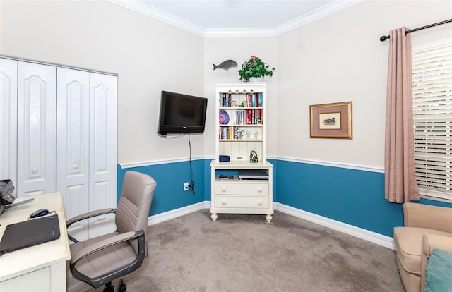 office area featuring carpet and ornamental molding