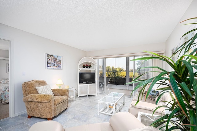 living room featuring a textured ceiling