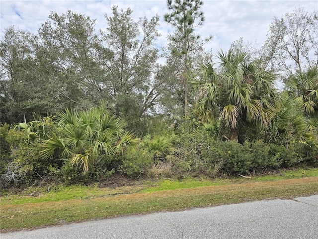 Pericles Ave, North Port FL, 34286 land for sale