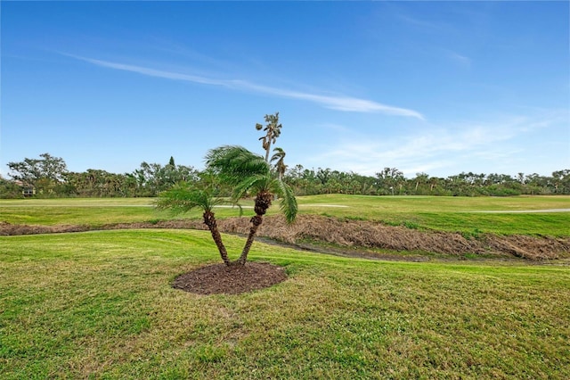 view of home's community featuring a yard