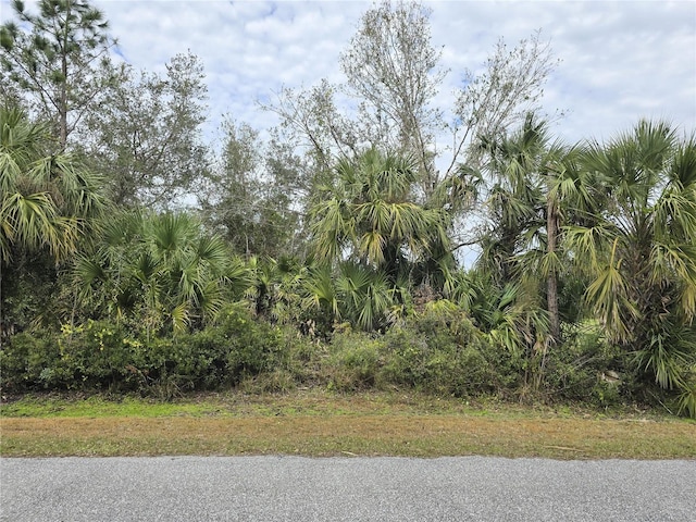 Listing photo 2 for 0957071034 Pericles Ave, North Port FL 34286