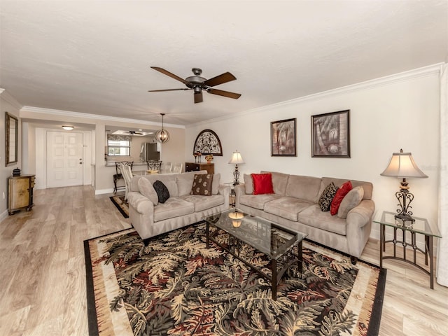 living room featuring ceiling fan, ornamental molding, and light wood-type flooring