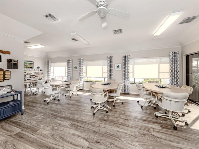 interior space featuring ceiling fan and light wood-type flooring