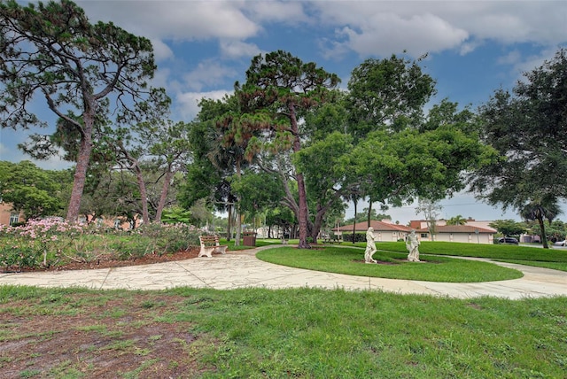 view of home's community with a lawn