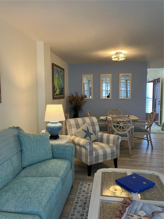 living room with hardwood / wood-style flooring